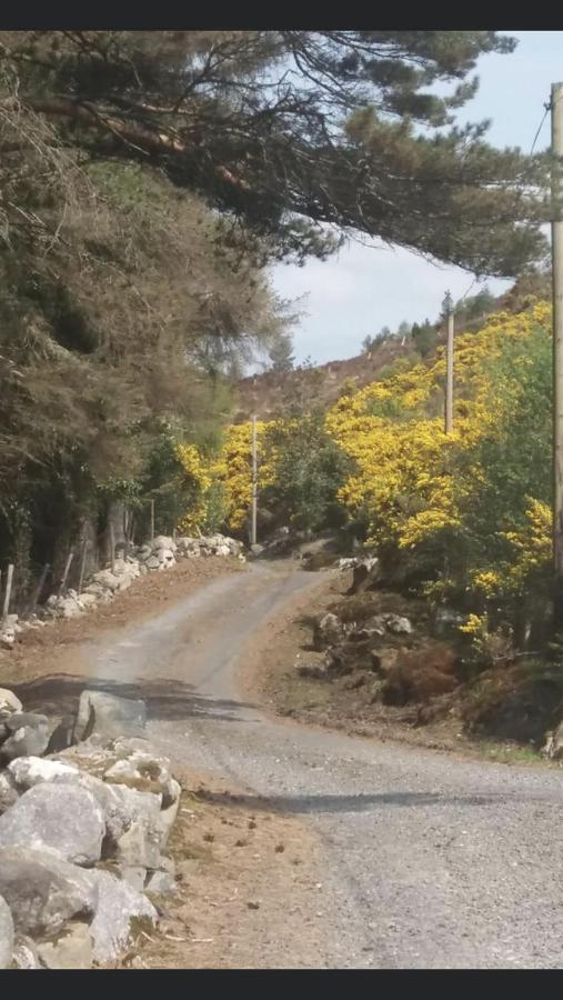 Heather Cottage, Creeslough Dış mekan fotoğraf